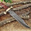 15" Long Hunting Bowie knife, hand forged Damascus steel, Red Dollar wood with Brass Pommel & Finger guard, Cow Leather sheath