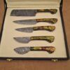 5 Pieces Damascus steel kitchen knife set includes (10.6+9.6+9.0+8.0+7.6)" knives, Camouflage scale, Comes with gift box
