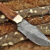 8" Long hand forged Damascus steel skinning knife, 4" full tang clip point blade, Natural rose wood scale with Brass bolster, Cow hide Leather sheath