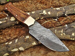 8" Long hand forged Damascus steel skinning knife, 4" full tang clip point blade, Natural rose wood scale with Brass bolster, Cow hide Leather sheath